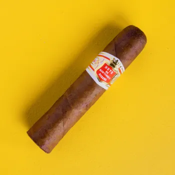 Hoyo De Monterrey Petit Robusto Cigar