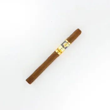 Cohiba Panatella